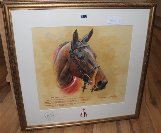 Martin Alford Head studies of winning racehorses 32 x 36cm